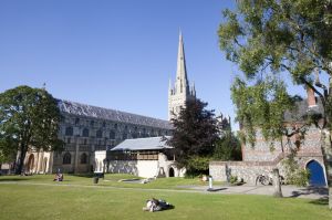 norwich 4.jpg